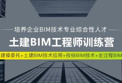 包含bim工程師適合女生嗎的詞條