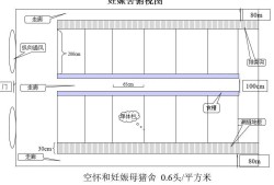 水泡糞豬舍設計圖,豬舍設計圖