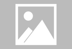 關(guān)于bim工程師報考要求學歷的信息