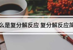 復(fù)分解反應(yīng)的定義復(fù)分解反應(yīng)的定義和特點