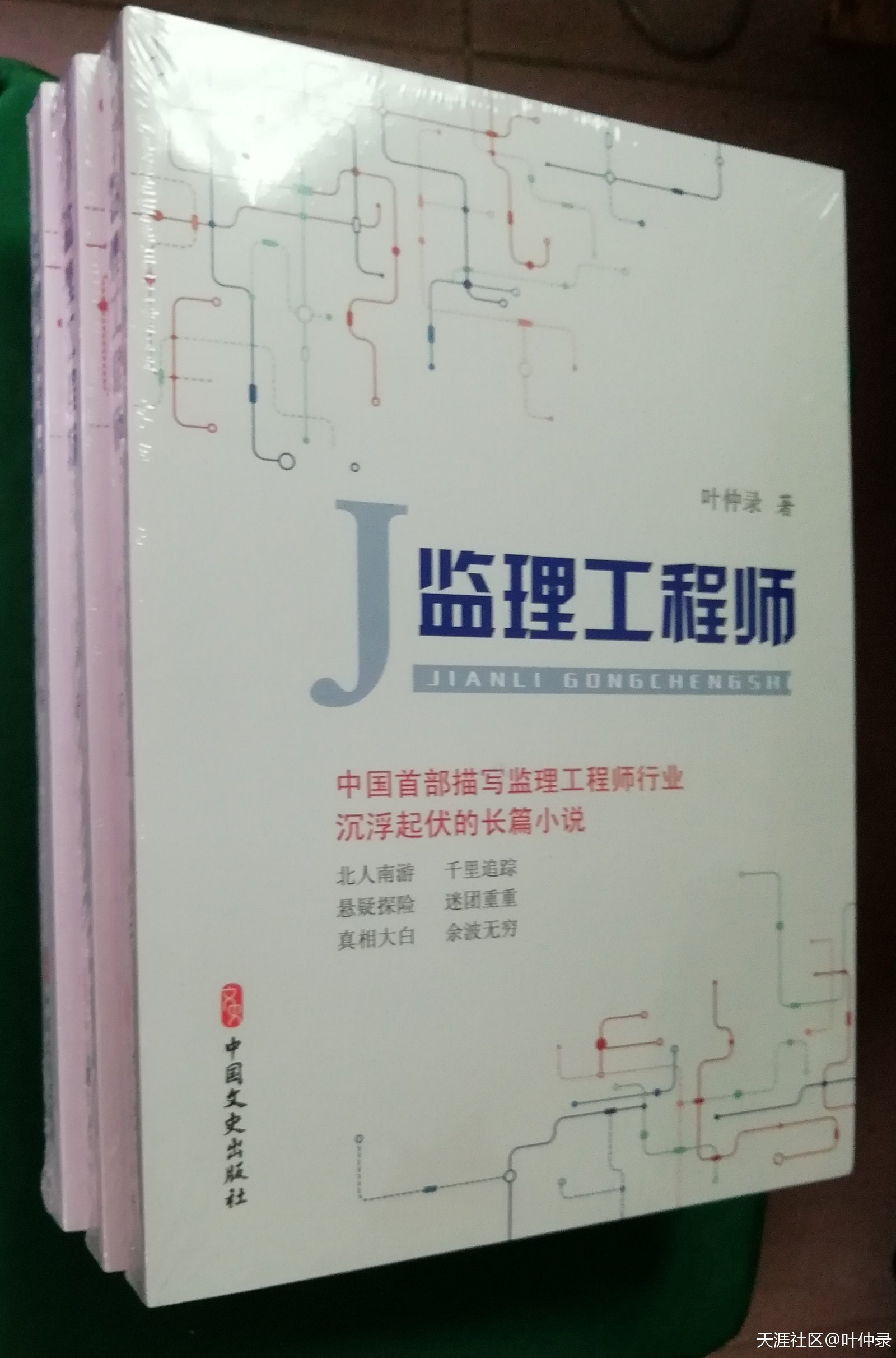 長篇紀實小說《監理工程師》里的國企和民企里的職員收益差異  第2張