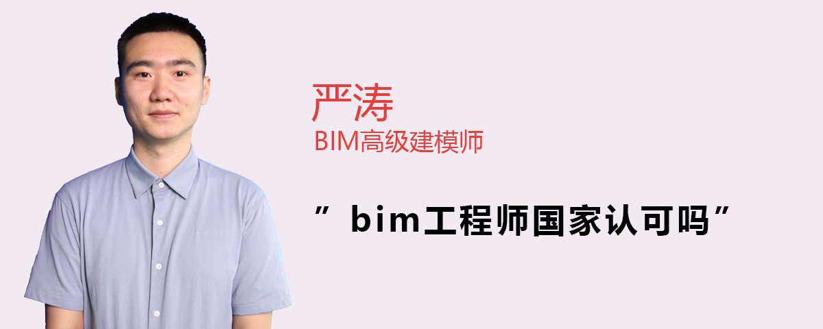 甘肅省工程類職稱評審條件,甘肅工程師認可的bim  第1張