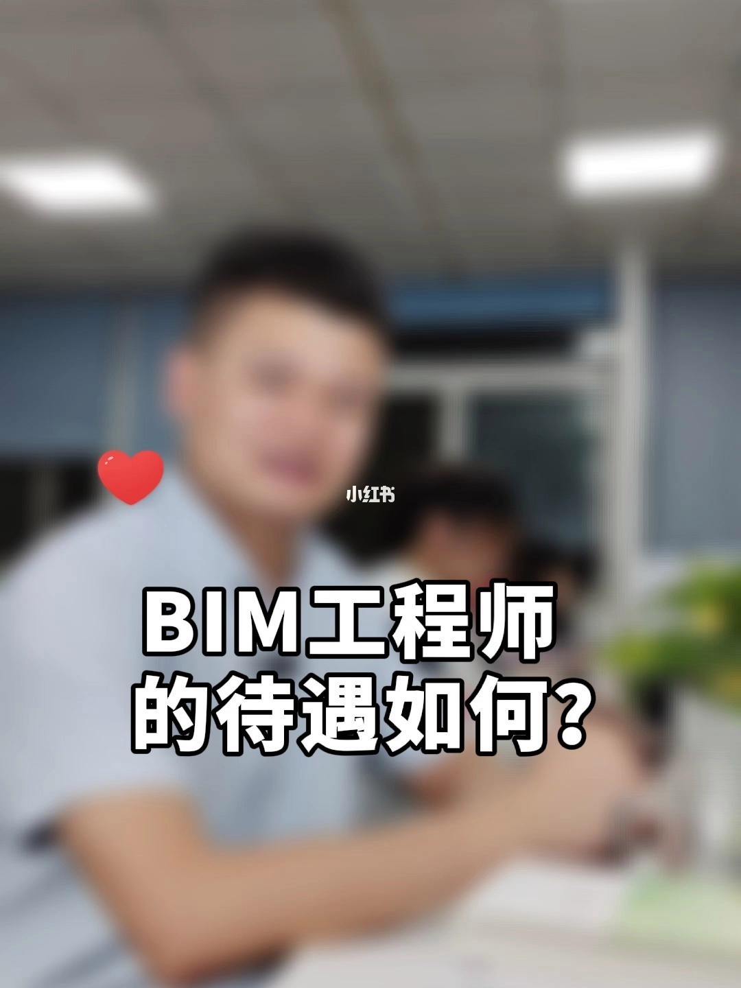 BIM實施服務工程師,bim實施服務工程師是干嘛的  第1張