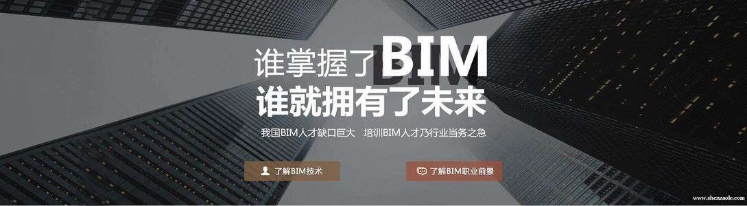 關(guān)于bim工程師的工作標準的信息  第2張