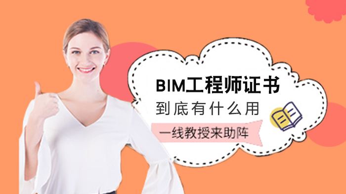 bim工程師有注冊bim工程師可以注冊嗎  第1張